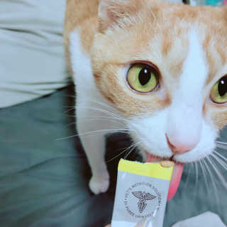 Honeyshop님이 올린 리뷰 사진 2