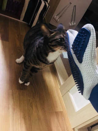 Yampie님이 올린 리뷰 사진 2