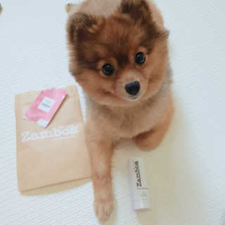은선이짱님이 올린 리뷰 사진 2