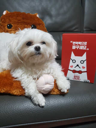 김고양이님이 올린 리뷰 사진 1