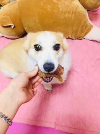 혀나님이 올린 리뷰 사진 3