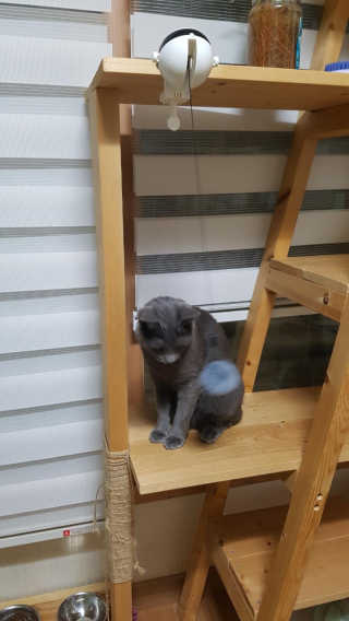 쿠로님이 올린 리뷰 사진 3