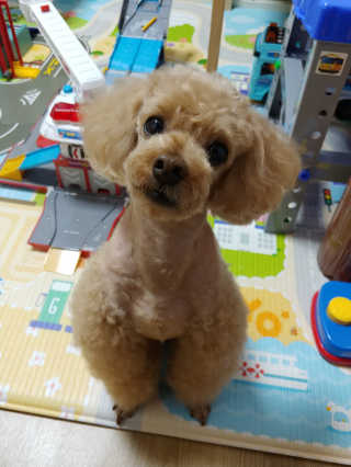 mizong님이 올린 리뷰 사진 3