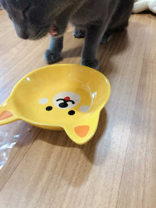 sisi님이 올린 리뷰 사진 3