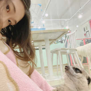두두님이 올린 리뷰 사진 4