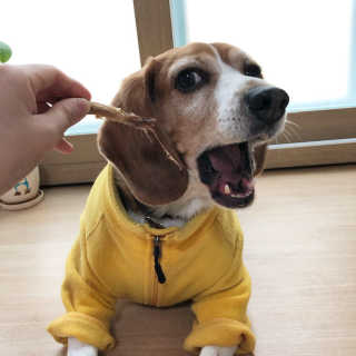 동희님이 올린 리뷰 사진 2