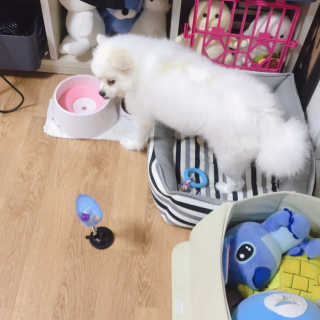 구름이엄마님이 올린 리뷰 사진 1