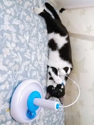 냠냠잉님이 올린 리뷰 사진 2