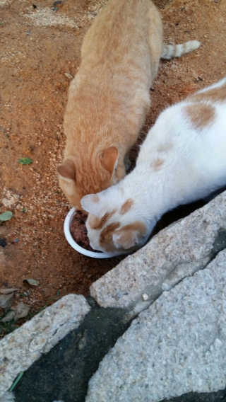 루찌님이 올린 리뷰 사진 3