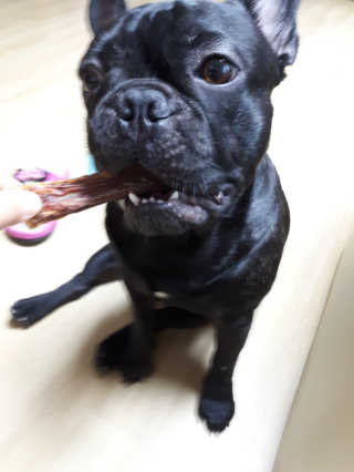 토르맘님이 올린 리뷰 사진 4