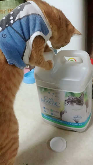 토토님이 올린 리뷰 사진 4