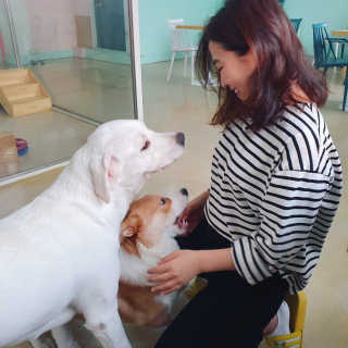 Somi Kim님이 올린 리뷰 사진 1