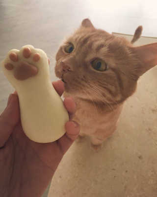 강태윤님이 올린 리뷰 사진 2