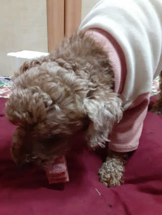 쪙현님이 올린 리뷰 사진 3