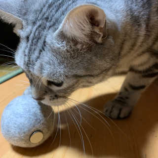 쮸야님이 올린 리뷰 사진 1