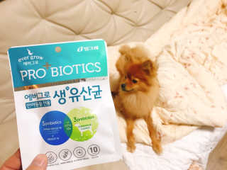 이대현님이 올린 리뷰 사진 1