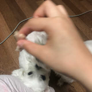 민수님이 올린 리뷰 사진 4
