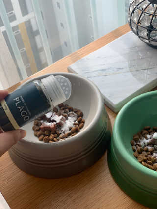 오쩡아님이 올린 리뷰 사진 2