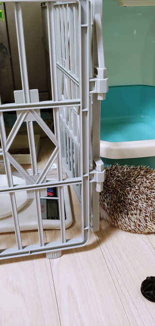 [펫토리아] BEST 한칸뚝딱 플라스틱 울타리 — 3.5점을 준 리뷰어가 2019년 1월 올린 사용 사진