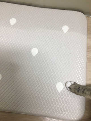 JihyunLilySon님이 올린 리뷰 사진 2