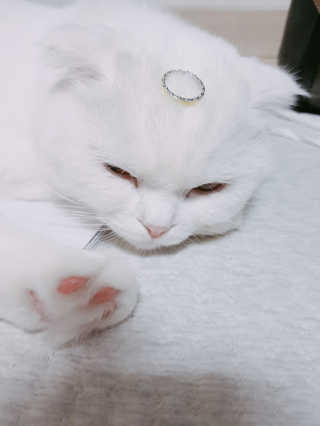 논지님이 올린 리뷰 사진 2
