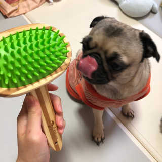 DasomKwack님이 올린 리뷰 사진 2