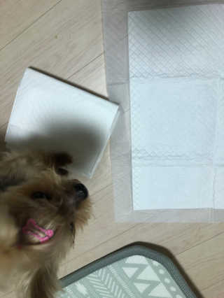 황방울이님이 올린 리뷰 사진 3