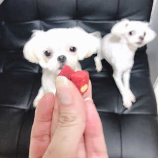 VV님이 올린 리뷰 사진 3