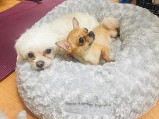 noname님이 올린 리뷰 사진 3