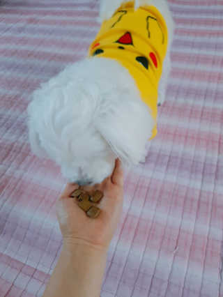 롱님이 올린 리뷰 사진 2
