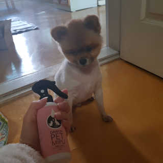 미디ㅣ지님이 올린 리뷰 사진 1