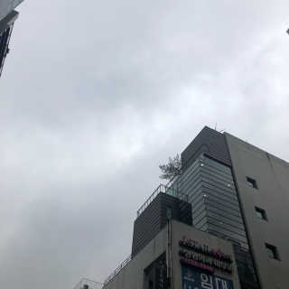 DDONI님이 올린 리뷰 사진 2