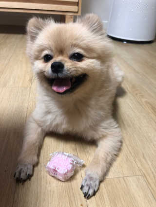 berryjjung님이 올린 리뷰 사진 4