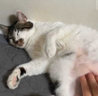 아라뉨님이 올린 리뷰 사진 1