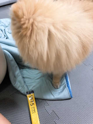 삼백이님이 올린 리뷰 사진 2