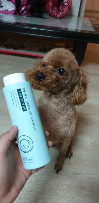 NuRiLee님이 올린 리뷰 사진 2