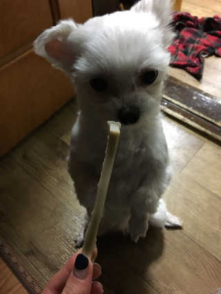 은재이님이 올린 리뷰 사진 4