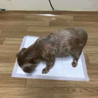 오현주님이 올린 리뷰 사진 4