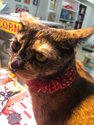 Antmi님이 올린 리뷰 사진 2
