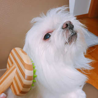 정소담님이 올린 리뷰 사진 1