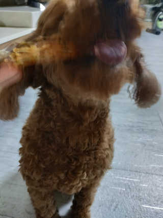 이종연님이 올린 리뷰 사진 3
