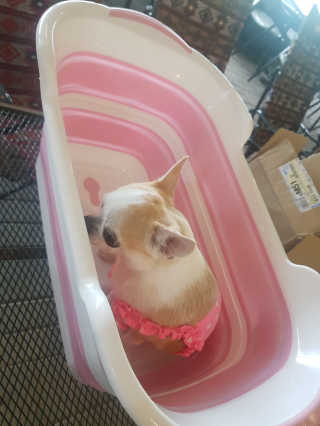 꾸꾸엄마님이 올린 리뷰 사진 1