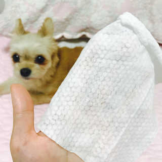 달곰이 물티슈 — 5점을 준 리뷰어가 2017년 7월 올린 사용 사진