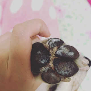 yeji님이 올린 리뷰 사진 3
