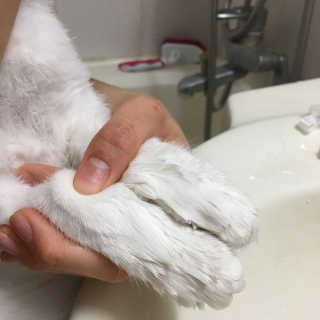 따니님이 올린 리뷰 사진 4