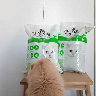 주뽀님이 올린 리뷰 사진 1