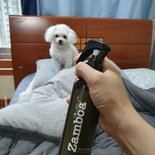 몽이언니님이 올린 리뷰 사진 1