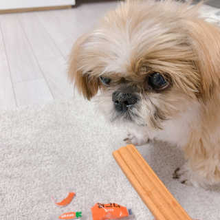 향이님이 올린 리뷰 사진 4