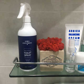 셀로몬 토일렛 스프레이 500ml — 4.67점을 준 리뷰어가 2018년 5월 올린 사용 사진