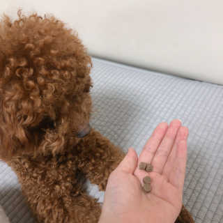 다요미님이 올린 리뷰 사진 4